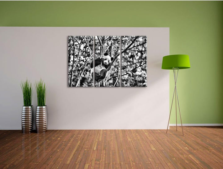 Pixxprint niedlicher Pandabär auf Baum als Leinwandbild/Grösse: 3 Teilig (120x80) cm/Wandbild/Kunstd