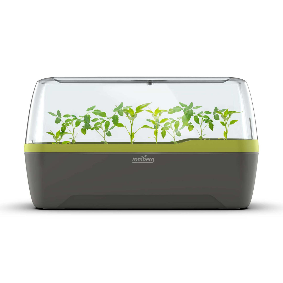 Romberg BoQube L Plus (Pflanzsystem, Farbe Anthrazit-Sommergrün, PAK-frei, lebensmittelecht, mit Bel