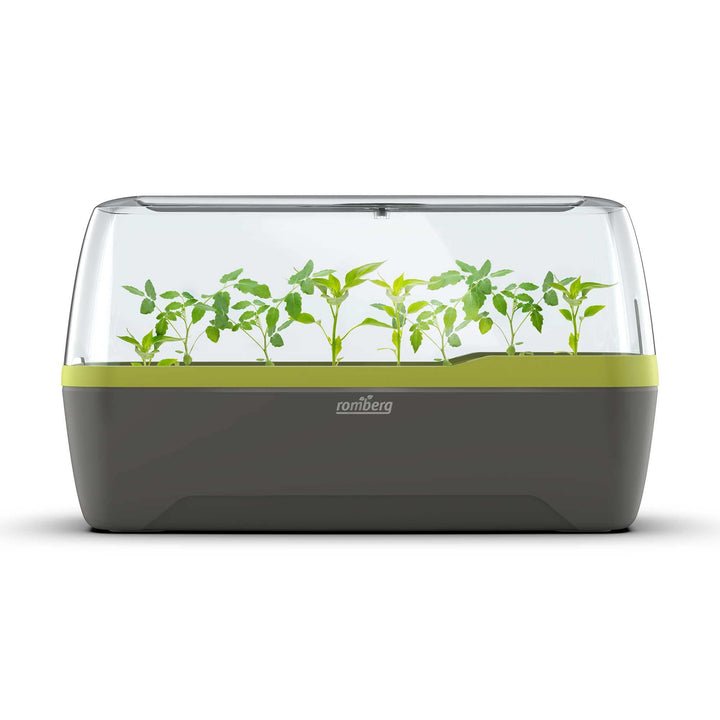 Romberg BoQube L Plus (Pflanzsystem, Farbe Anthrazit-Sommergrün, PAK-frei, lebensmittelecht, mit Bel