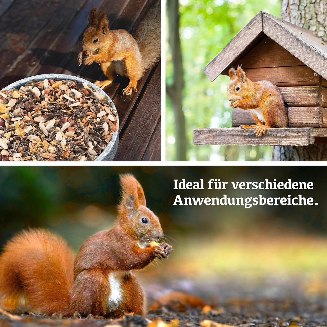 DELICIA® Eichhörnchen FutterMix (350g) · Eichhörnchen Futter mit Nüssen, Früchten & Kernen · Ganzjah