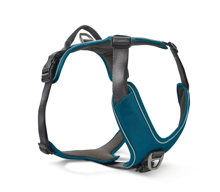Wolters Geschirr Active Pro Comfort, Grösse:70-85 cm, Farbe:Petrol/anthrazit 70 - 85 cm petrol/anthr