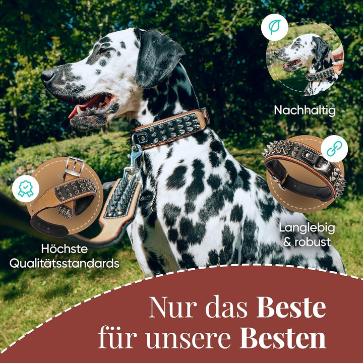 MICHUR Strike NO. 1 Hundehalsband Leder, Halsband, Lederhalsband Hund, Nieten, Halsband Leder MIT Ni