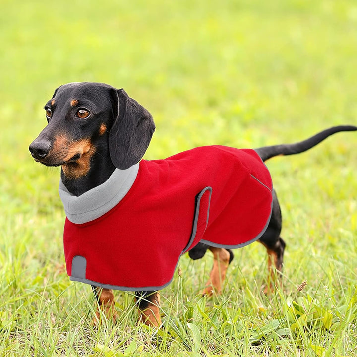 MOREZI Dackeljacke, Kaschmirfutter, Welpenwinterjacke mit Reflexbesatz und hohem Kragen, Hundeschnee