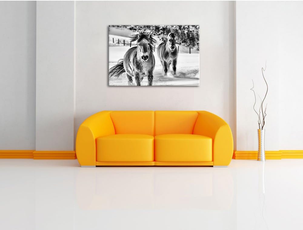 Pixxprint Pferd im Schnee / 100x70cm Leinwandbild bespannt auf Holzrahmen/Wandbild Kunstdruck Dekora