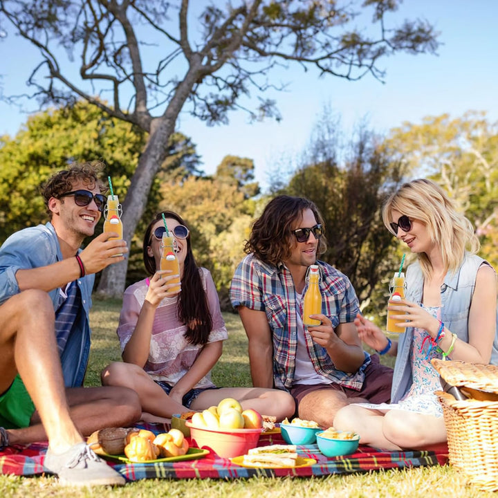 Zanfqvo Glasflaschen 250ml mit Bügelverschluss, 10 Stück Kleine Flaschen Zum Befüllen, Bügelflasche