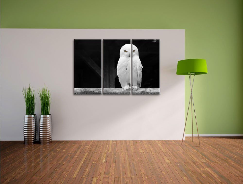 Pixxprint Weisse Schneeeule als Leinwandbild | Grösse: 3 Teilig (120x80) | Wandbild| Kunstdruck | fe