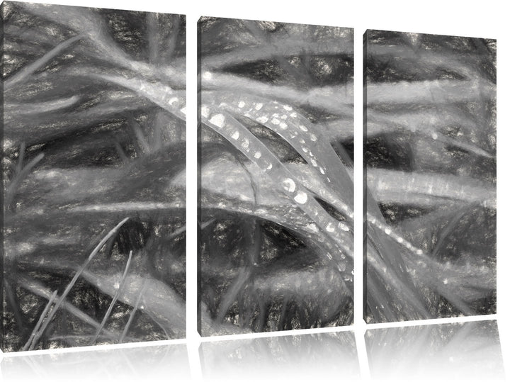 Pixxprint Grashalme Kohle Effekt 3-Teiler Leinwandbild 120x80 Bild auf Leinwand