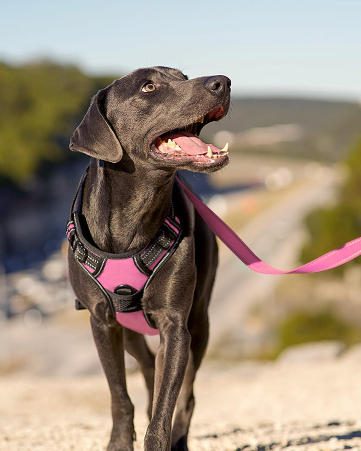 Joytale Anti-Zug Hundegeschirr für grosse Hunde, Pink, L | Perfekter Sitz, gepolstert &amp; reflektieren
