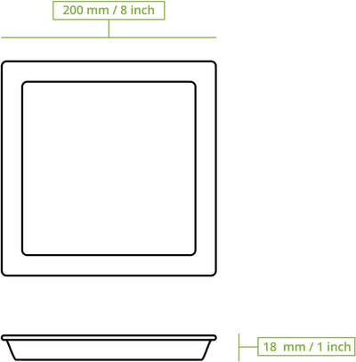 BIOZOYG 200 Stück Palmblatt-Teller 20 x 20 cm | stilsicher, kompostierbar & naturbelassen | Einwegte