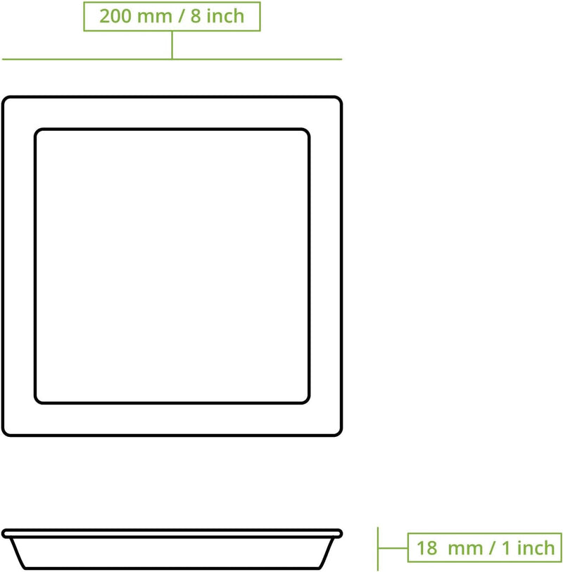 BIOZOYG 200 Stück Palmblatt-Teller 20 x 20 cm | stilsicher, kompostierbar & naturbelassen | Einwegte