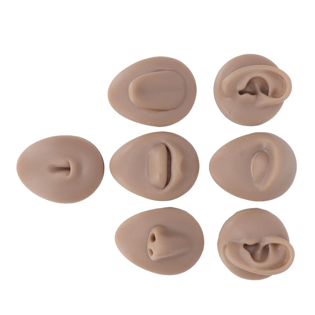 Weiches Silikon, Flexibles Modell, Körperteil-Display-Set, Body-Piercing-Übungsmodell, Simulation, O