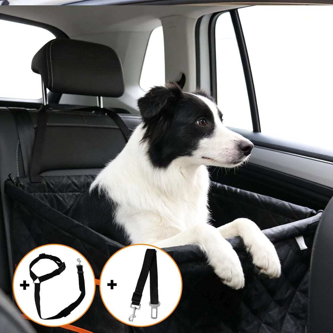 Hundesitz Auto Rückbank, Hundeautositz Hundesitz Kleine Hunde, Extra Stabiler Hunde Autositz Mit Sic