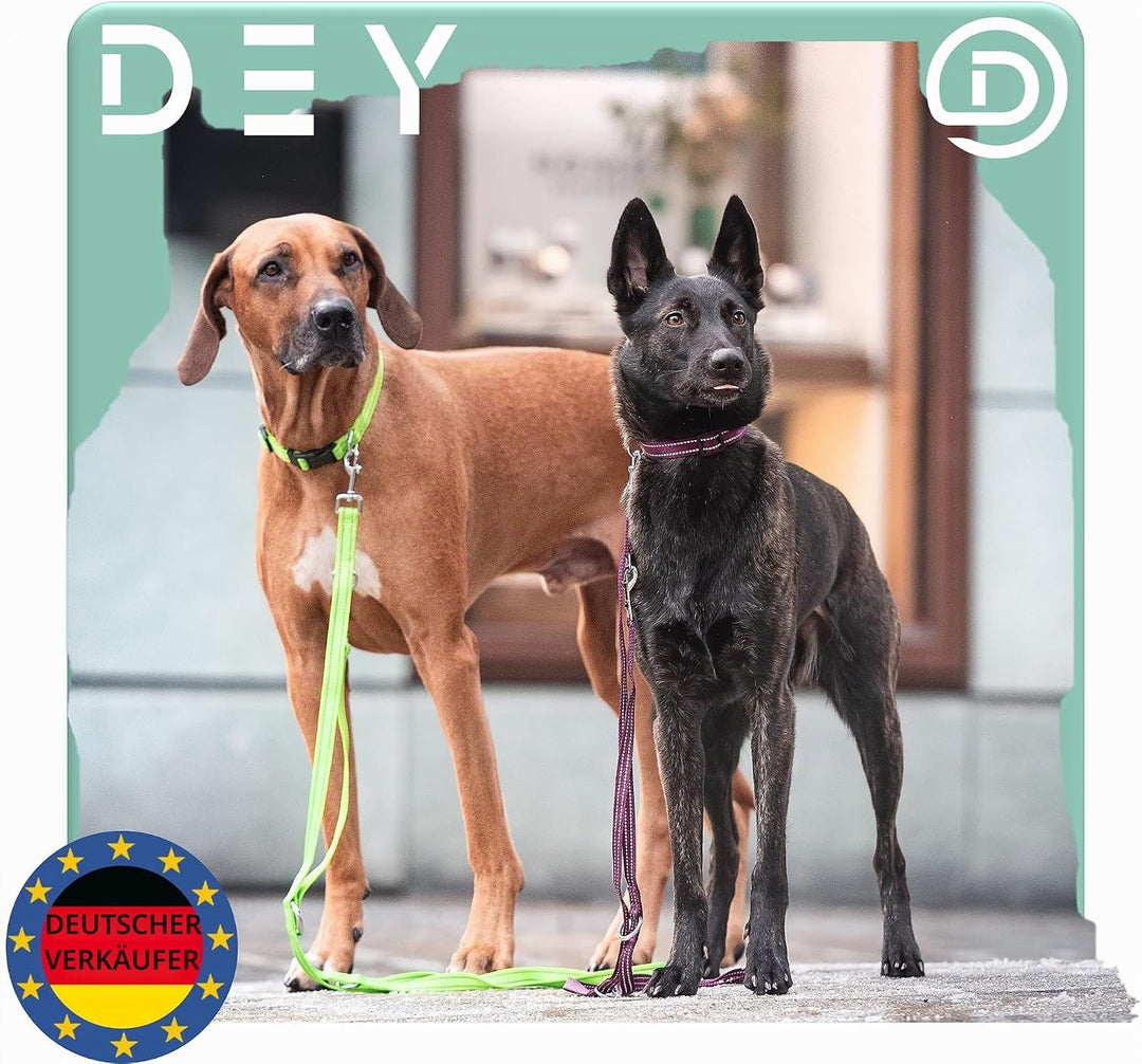 DEY - Premium Hundeleine Nylon 2m | Reflektierend | 3fach Verstellbar | für Kleine, Mittelgrosse u.