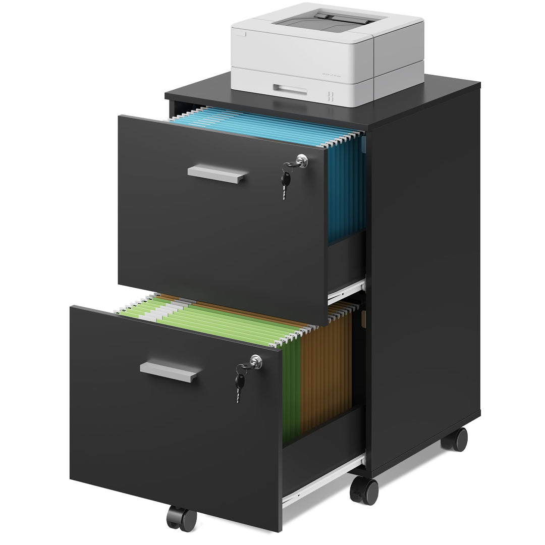 DEVAISE Rollcontainer mit 2 Schubladen, Abschliessbar Aktenschrank für Homeoffice, Rollcontainer Sch