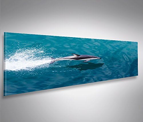 islandburner Bild Bilder auf Leinwand Delphin V2 Delfin Panorama XXL Poster Leinwandbild Wandbild De