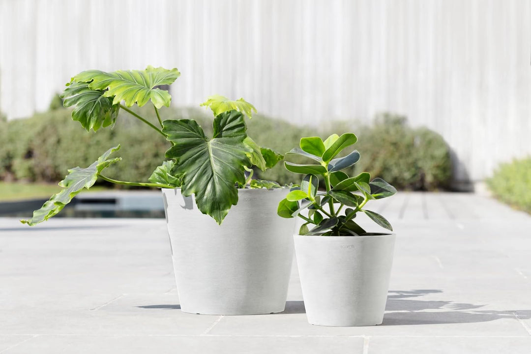 Ecopots Amsterdam 20 + Blumentopf mit Wasserreservoir - L 20 cm x H 17,2 cm - Innen- und Aussenberei
