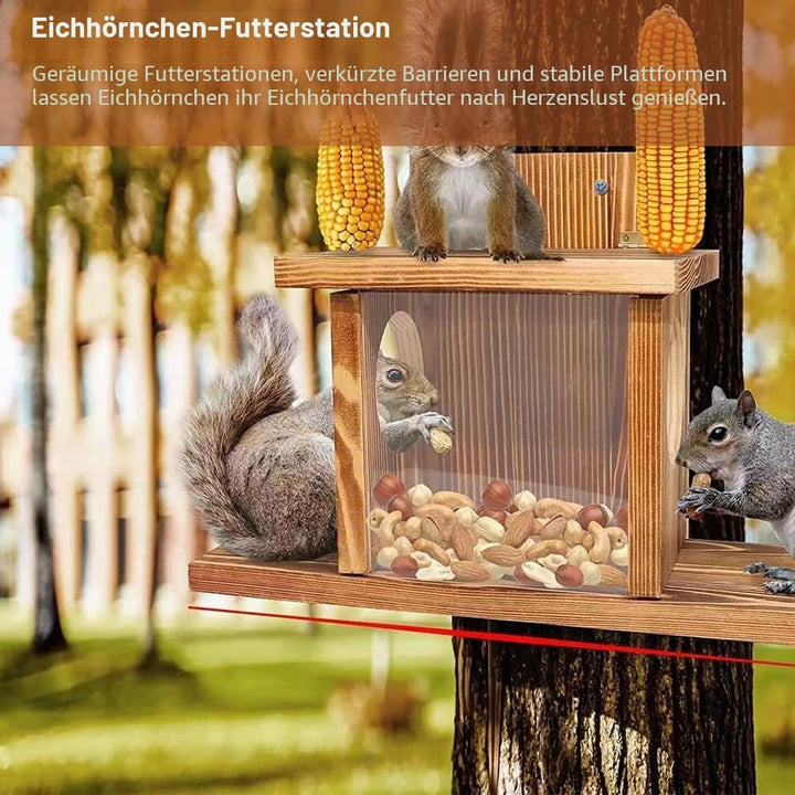 Eichhörnchen Futterhaus, Eichhörnchenfutterstation, Eichhörnchenhaus, Futterstation Zum Aufhängen, E