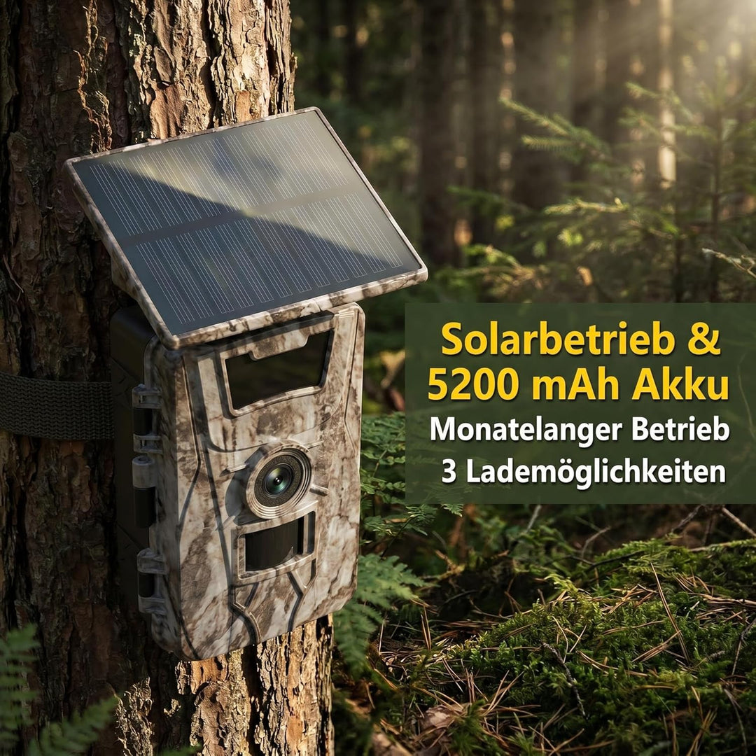 Wildkamera WLAN mit App- Solarbetrieb, 5200mAh Akku, Nachtsicht 0.1s Auslösezeit, IP66 Wasserdicht,