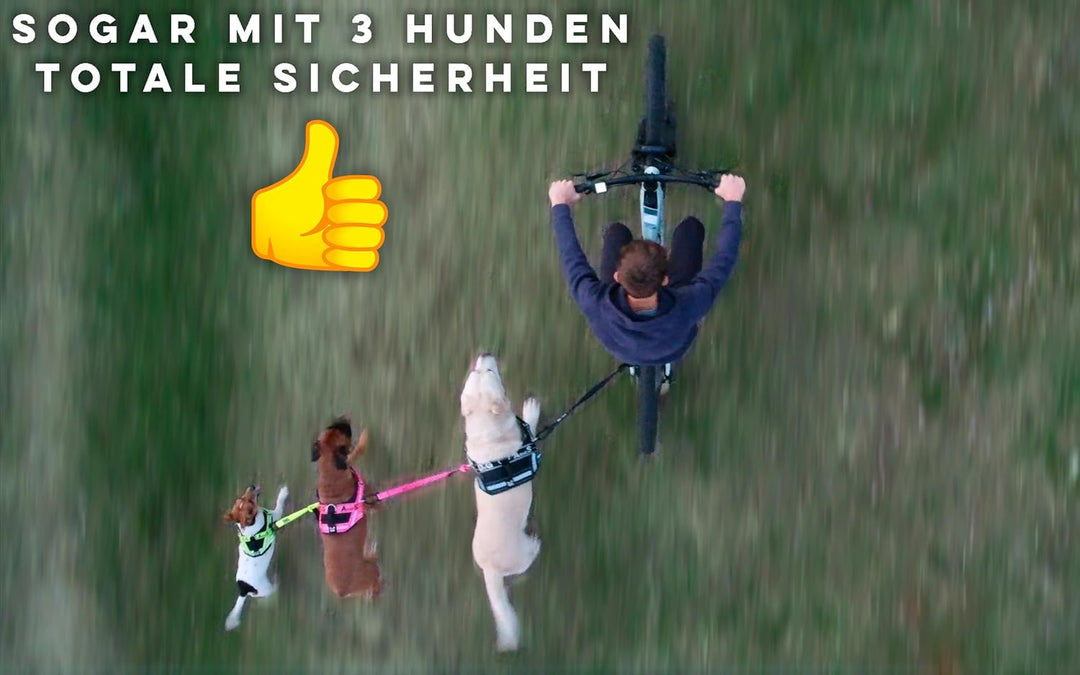 BIKE AND DOG - Hundeleine und Hundegeschirr für das Fahrrad, Geschirr mit 3 Ringen, Davon 2 seitlich