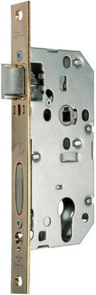 Rindleder m455gcs/SC Schloss, Stahl verzinkt, grau, M455GCS/SC Zylinder Axe à 50 mm Acier Galvanisé,