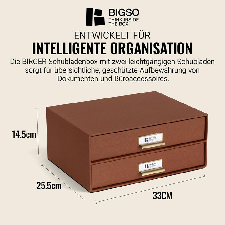 BIGSO BIRGER Schubladenbox – Aufbewahrungsbox mit 2 Schubladen – Schreibtisch Ablage für Dokumente &