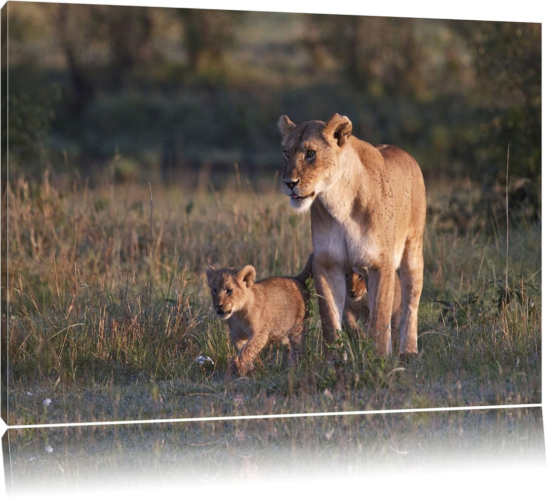 Löwenmutter mit Jungtieren Leinwand, XXL riesige Bilder fertig gerahmt mit Keilrahmen, Kunstdruck au