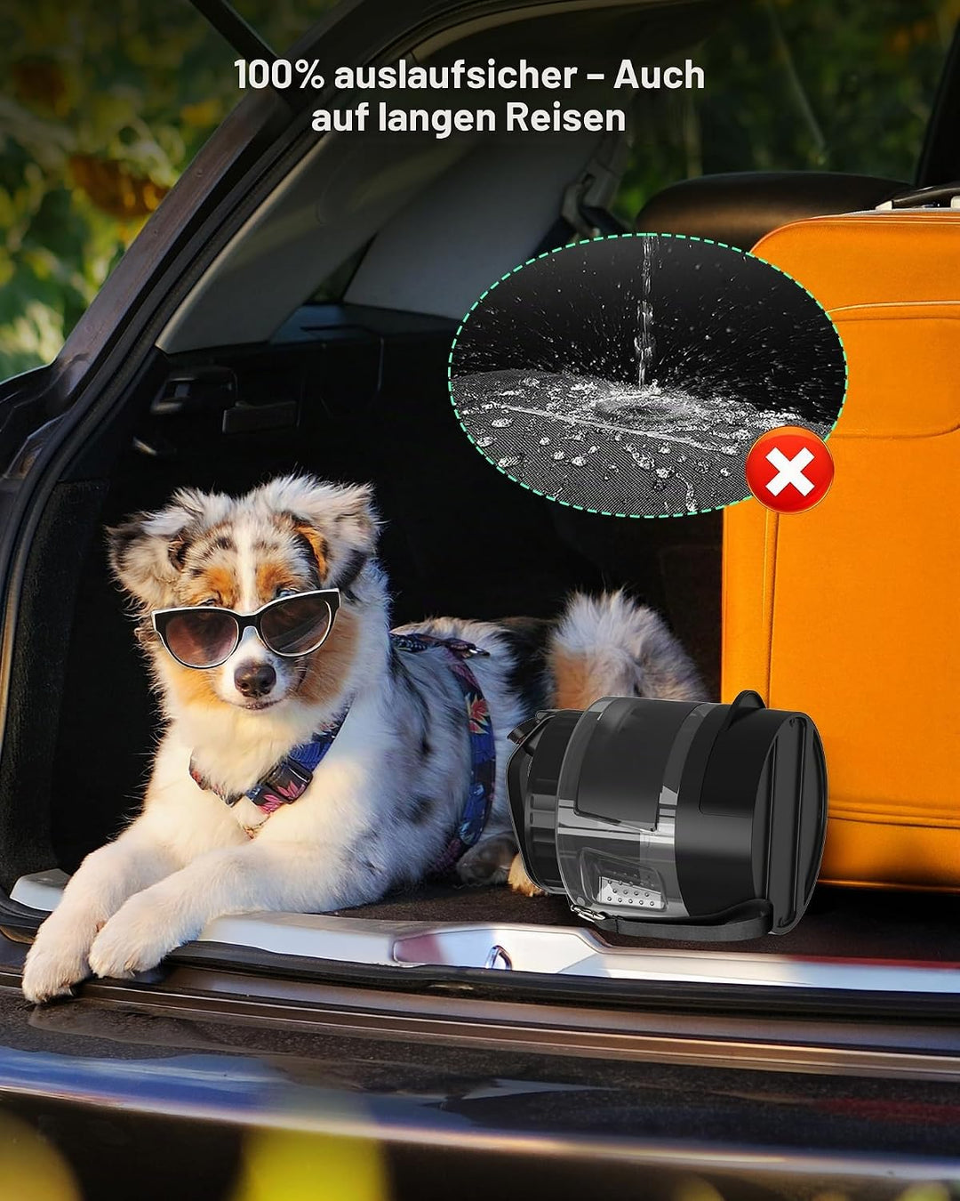 lesotc 1600 ml Trinkflasche für Hunde, Tragbare XXL extra grosse Hundetrinkflasche für unterwegs – C