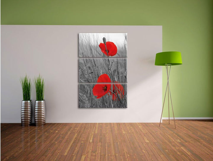 Pixxprint einzelne Mohnblumen im Getreidefeld als Leinwandbild/Grösse: 3 Teilig (120x80 cm) cm/Wandb