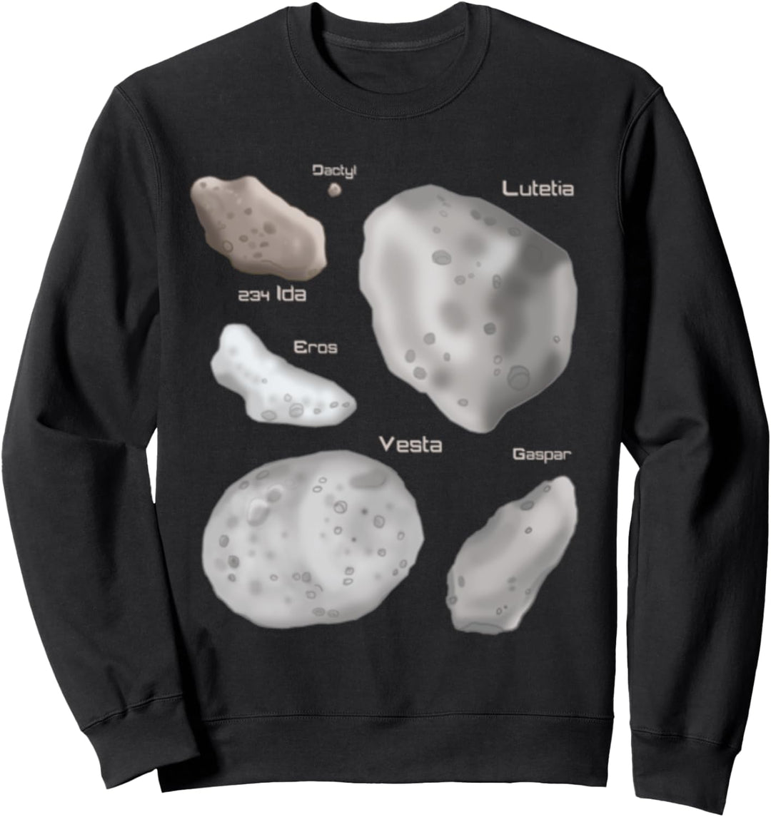 Arten von Asteroiden Sweatshirt