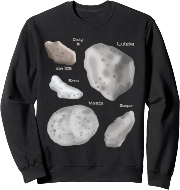Arten von Asteroiden Sweatshirt