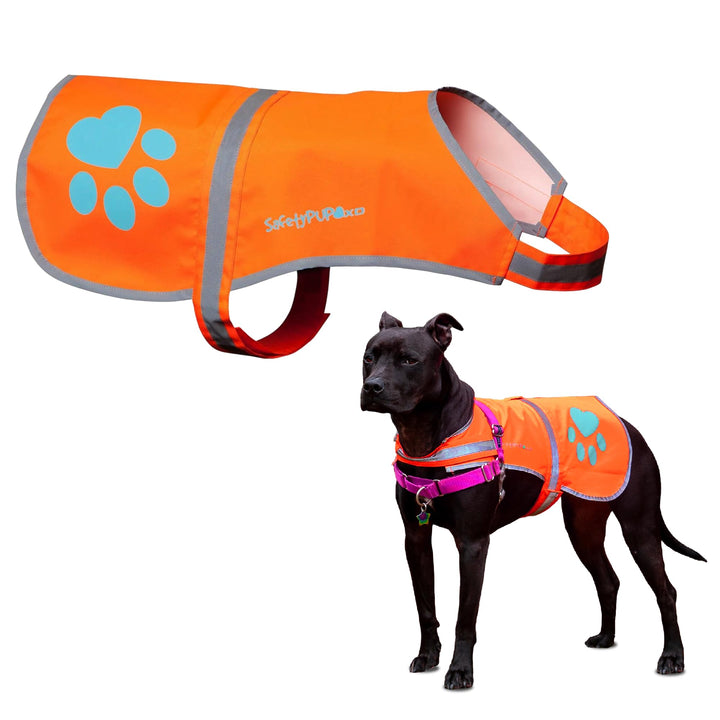 SafetyPUP XD Hund Warnweste, Grössen passen Hunde 14 lbs bis 130 lbs Orange Mittel, Orange Mittel