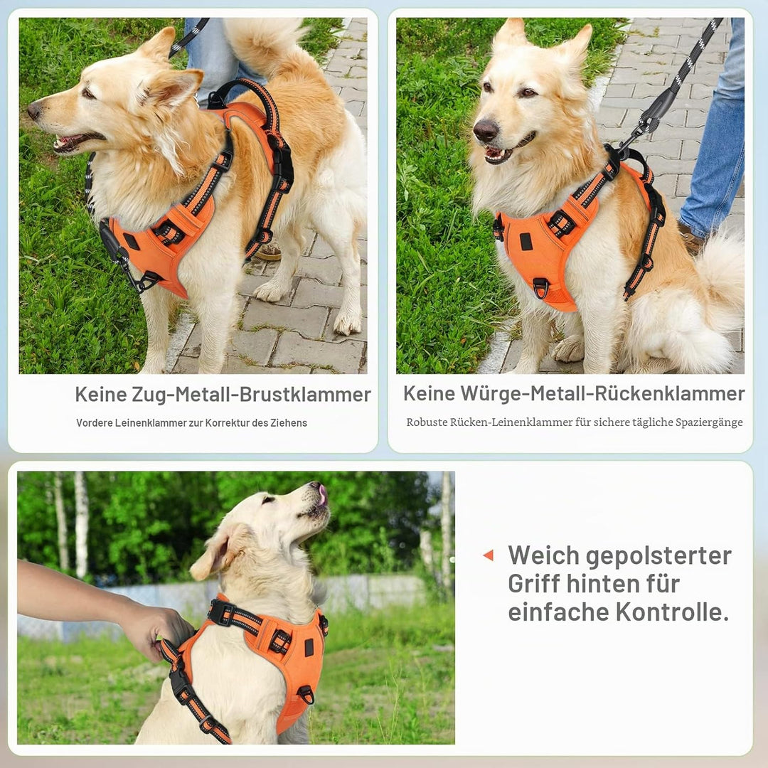 Hundegeschirr No-Pull für Kleine, Grosse und Mittelgrosse Hunde - Weich, Atmungsaktiv, Einstellbar,