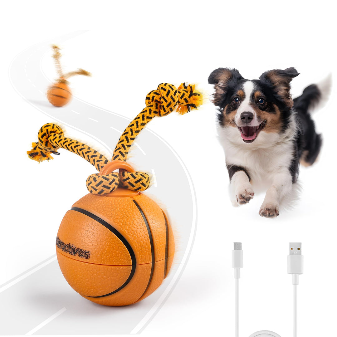 ALL FOR PAWS Interaktiver HundeBall, Beweglicher Hundeball mit LED-Lichtern, Hundespielzeug gegen La