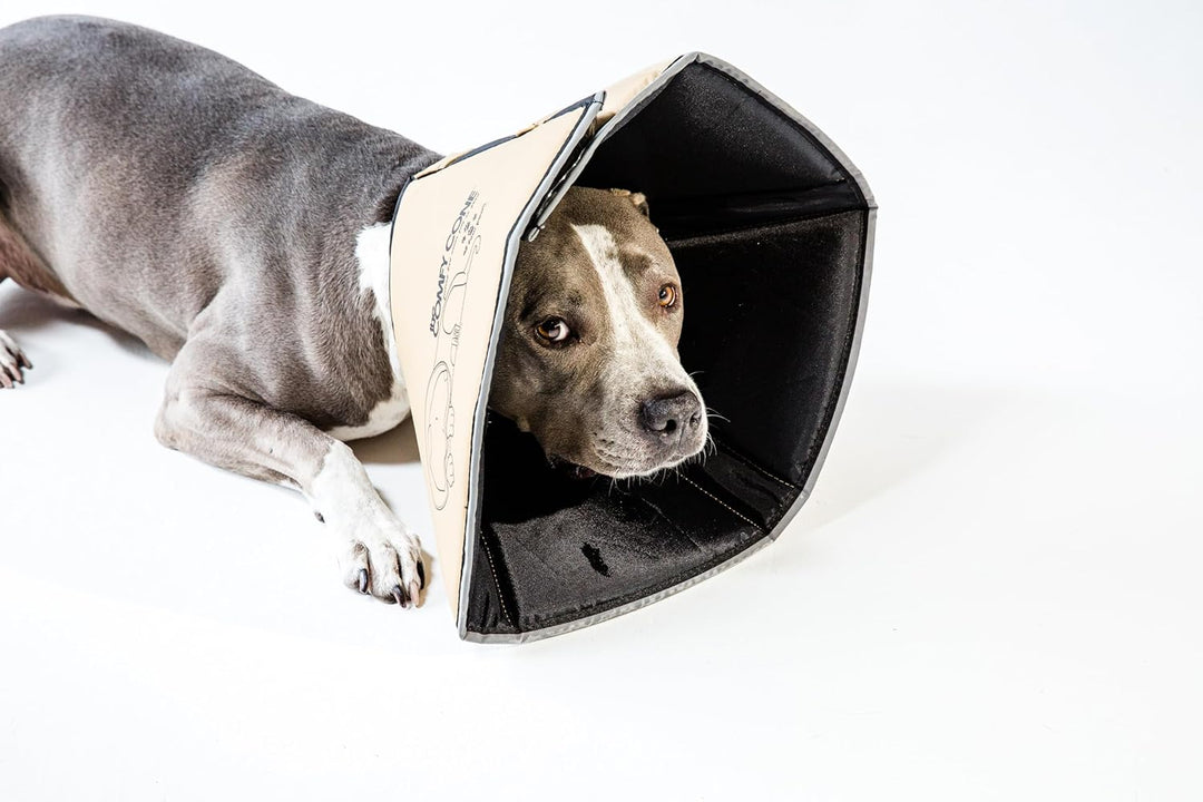 All Four Paws „The Comfy Cone“ Halskrause für Haustiere X-Large (Pack of 1) Hellbraun, X-Large (Pack