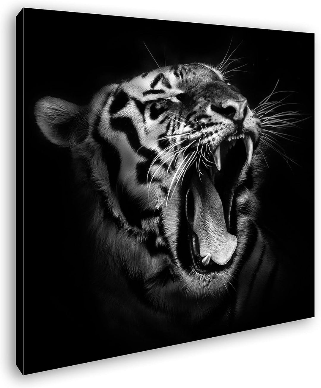 deyoli Dark brüllender Tiger Format: 70x70 Effekt: Schwarz&Weiss als Leinwandbild, Motiv auf Echthol