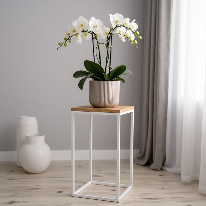 Pflanzenständer Craft - 24x24x40cm - Farbe Weiss - für Zimmerblumen - Metallregal - dekorativer Tisc