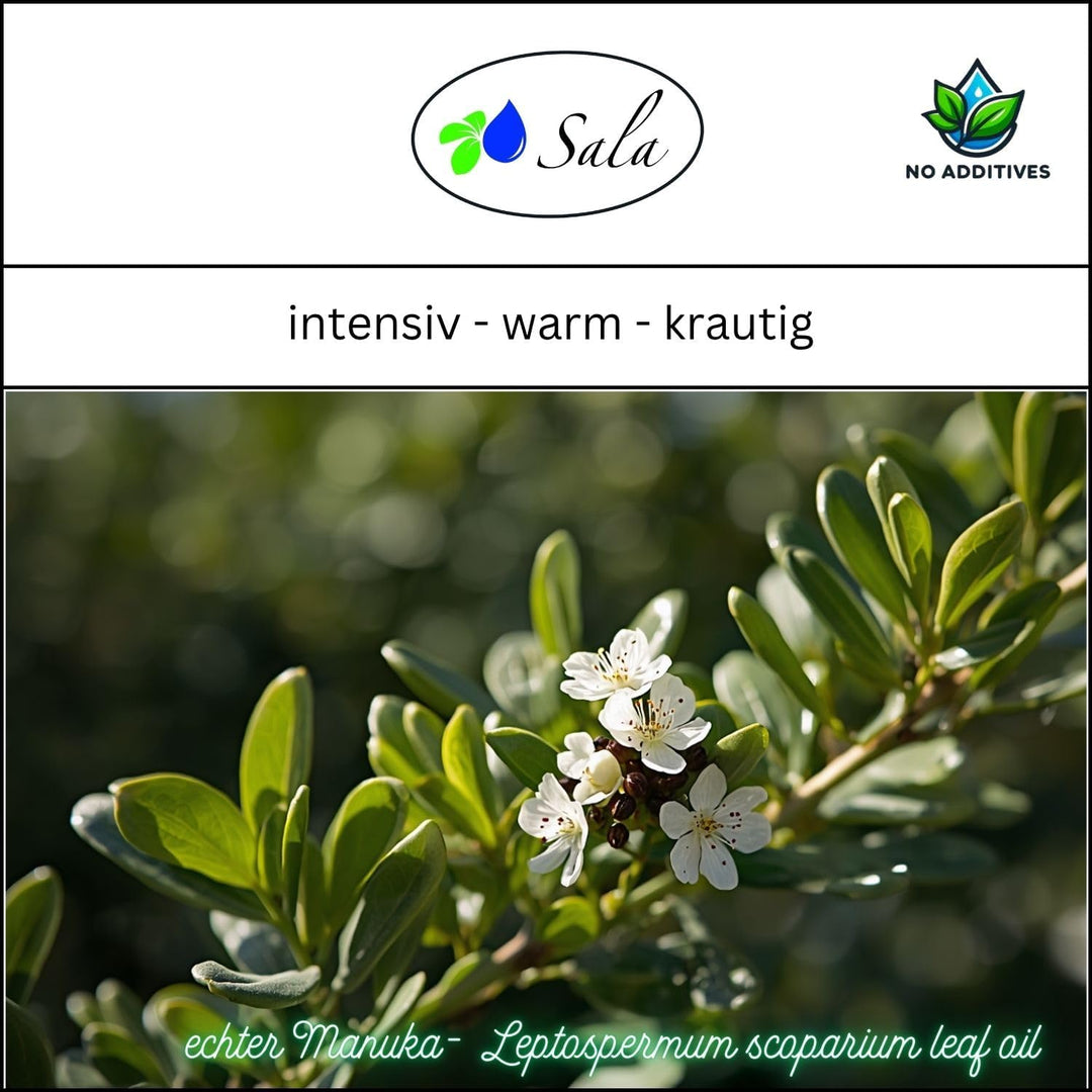Sala Manukaöl ätherisches Öl naturrein 30 ml