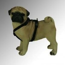 Feltmann Mopsgeschirr Hundegeschirr Soft Nylon, Beige, Braune Pfötchen, 7-13 kg, 20 mm 7-13kg, 20mm,