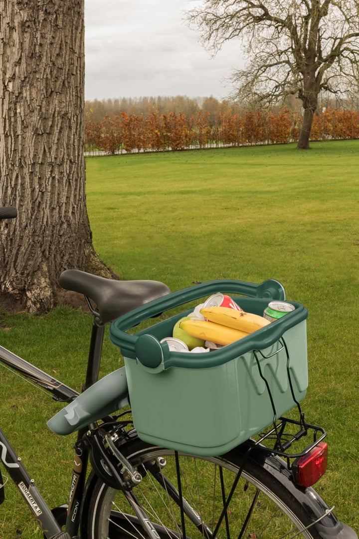 Curver Kühlschrank 10 Liter - 42,8 x 23 x 26,5 cm - Grün