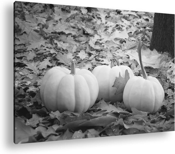 deyoli Herbstliche Kürbise Effekt: Schwarz&Weiss Format: 120x80 als Leinwandbild, Motiv fertig gerah