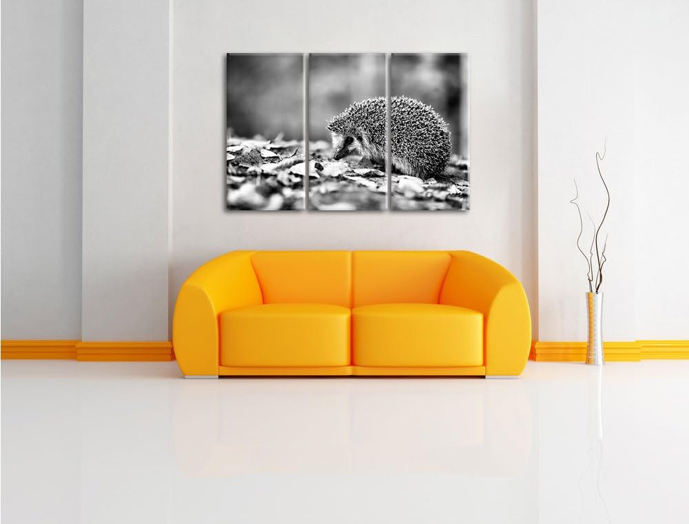 Pixxprint Igel im Laub als Leinwandbild/Grösse: 3 Teilig (120x80) cm/Wandbild/Kunstdruck/fertig besp