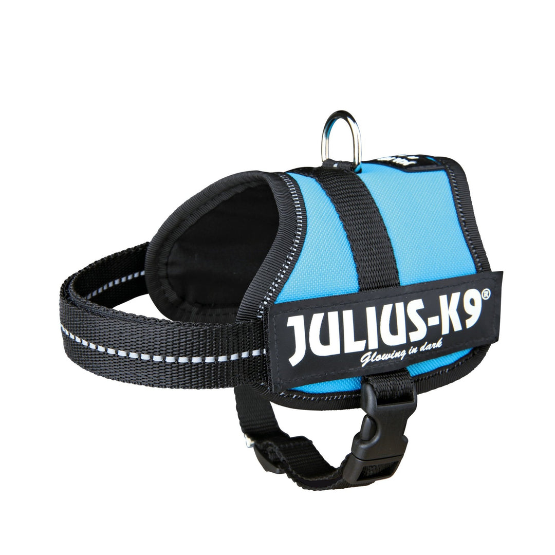 K9 Powergeschirr, Grösse: XS/Mini-Mini, Aquamarine Anthrazit M/0, Anthrazit M/0