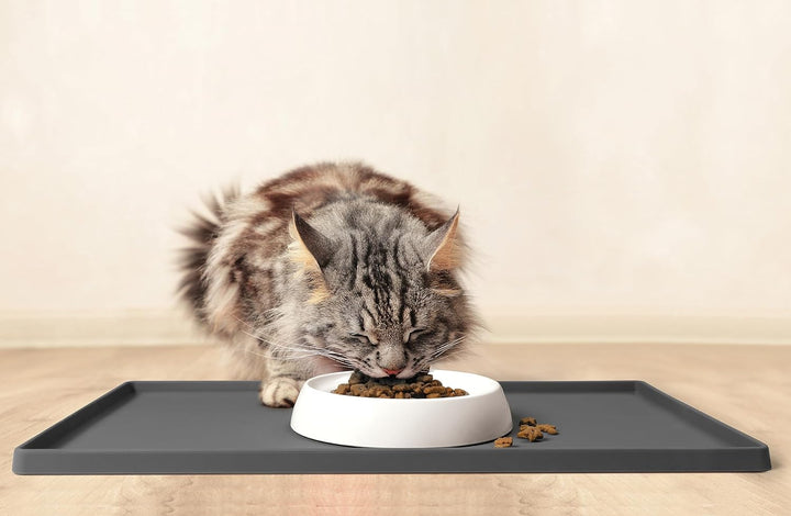 CatGuru Katzennäpfe, Schnurrhaar, stressfreier Futternapf, lindert Müdigkeit, breite, rutschfeste Fl