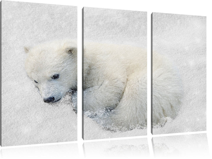 Pixxprint Eisbär im Schnee als Leinwandbild/Grösse: 3 Teilig (120x80) cm/Wandbild/Kunstdruck/fertig