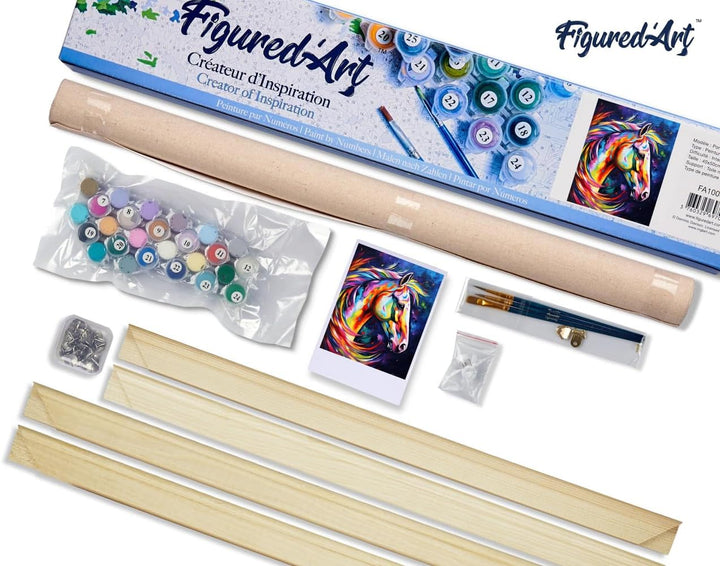 Figured'Art Malen Nach Zahlen Erwachsene Mit Rahmen Pferd Farbenfroh Abstrakt - Paint by Numbers Bas