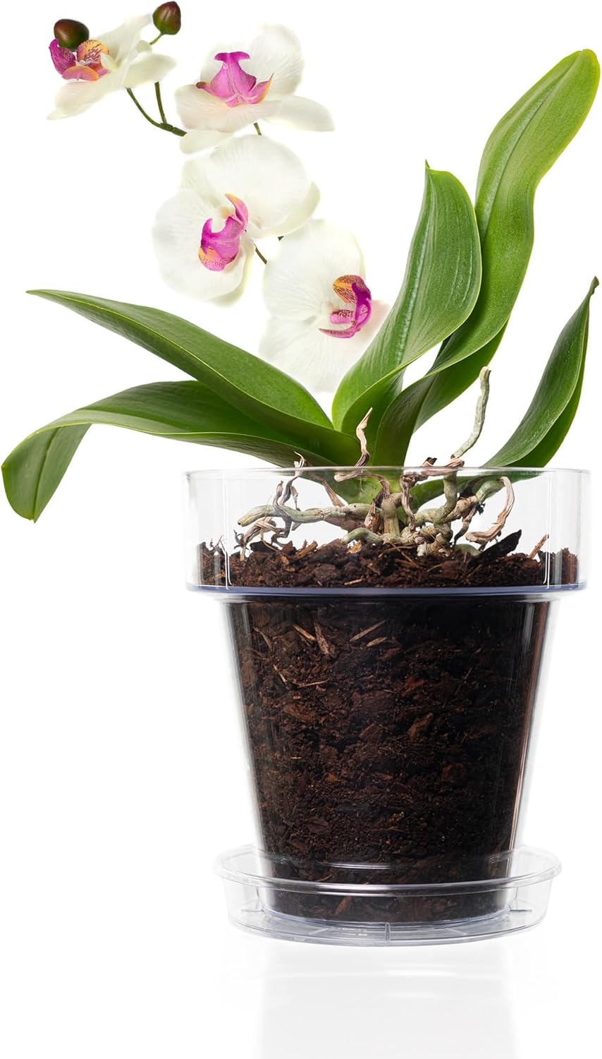 Kalapanta Orchideen-Umtopf 3er-Set: 3 Durchsichtiger Blumentopf mit Drainagelöchern, 3 Untertasse un
