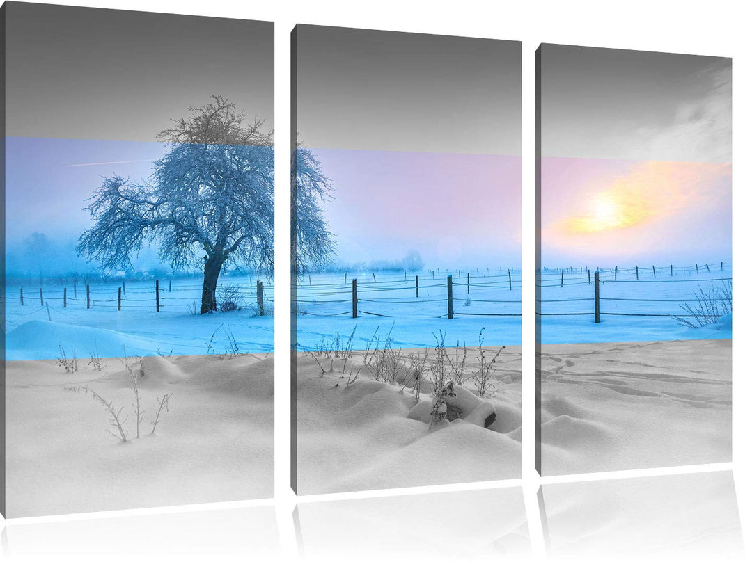 Einsamer Baum in Winterlandschaft schwarz/weiss 3-Teiler Leinwandbild 120x80 Bild auf Leinwand, XXL