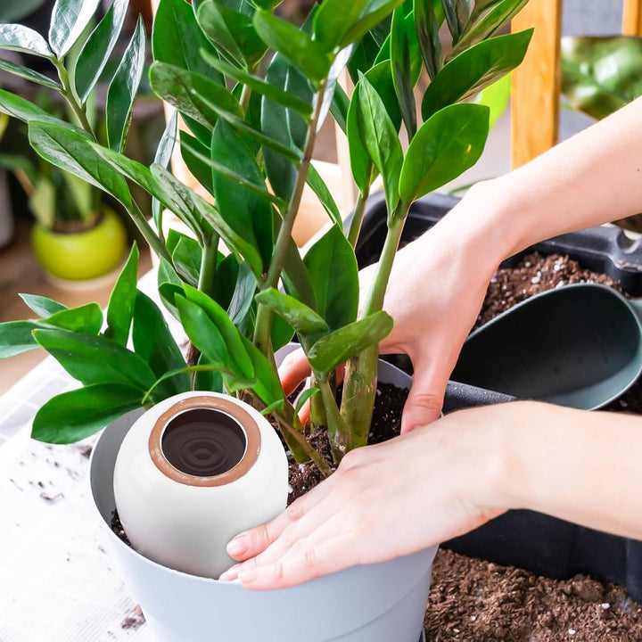 4er Set Automatische Bewässerung für Zimmerpflanzen, Mini Terrakotta zum Pflanzen, Wasserspender für