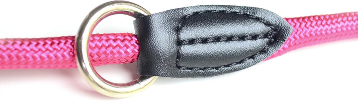 Leisegrün Hundeleine Derby | 2m Länge, Robustes Nylon, Flexibel verstellbar für mittelgrosse bis gro