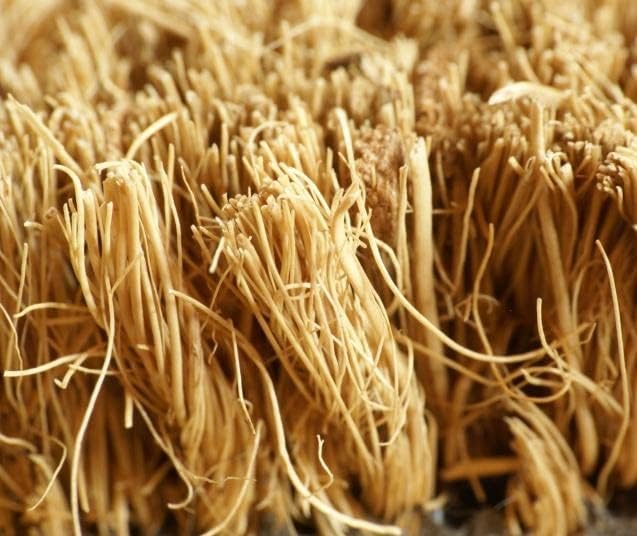 CSN Kokosmatten | Kokos Fussmatte Türmatte | Natur Fussabtreter, aus natürlichem Kokos für Innen | 1